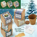 Pine Tree Growables Planter in Gift Box